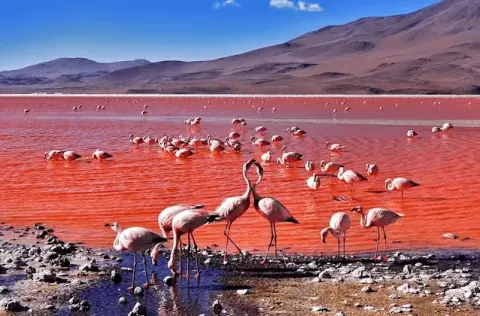 3D2N ATACAMA, UYUNI, ATACAMA PRIVAT
